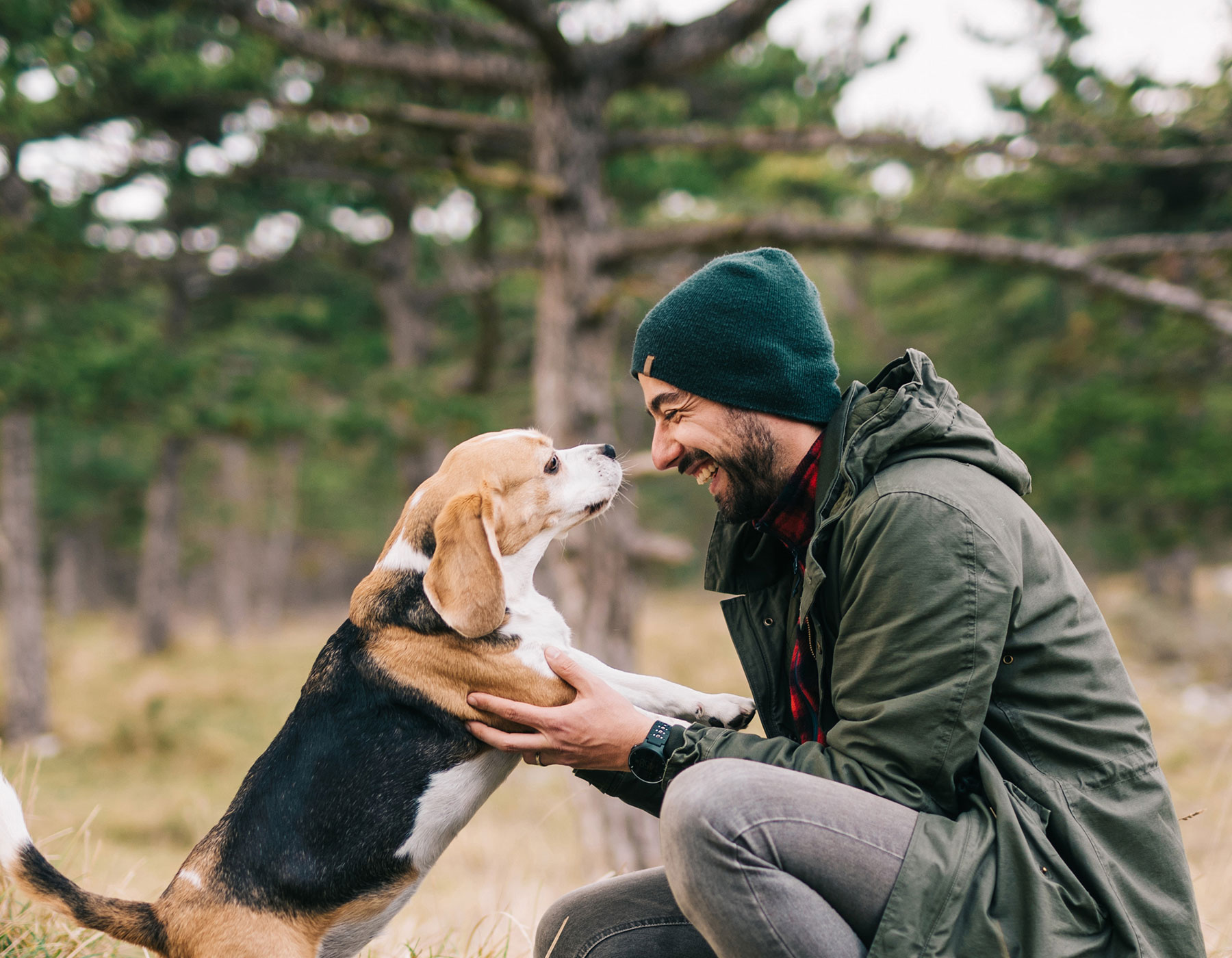 Balance Transfer Home Hero ""